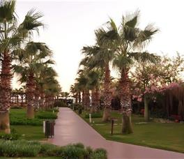 Saturn Palace Resort