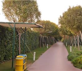 Saturn Palace Resort