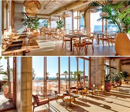 X - Epidamn White Sensation