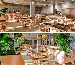 X - Epidamn White Sensation