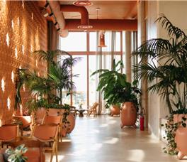 X - Epidamn White Sensation