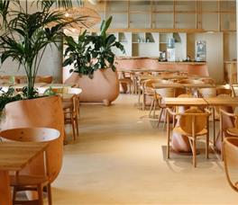 X - Epidamn White Sensation