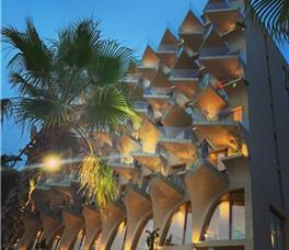 X - Epidamn White Sensation