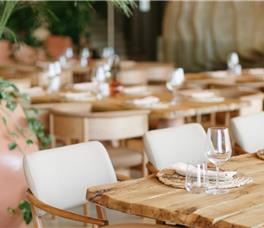 X - Epidamn White Sensation