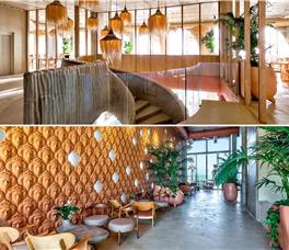 X - Epidamn White Sensation