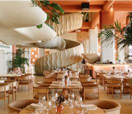 X - Epidamn White Sensation