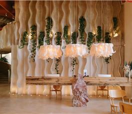 X - Epidamn White Sensation