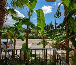 Sarajet e Pashait II