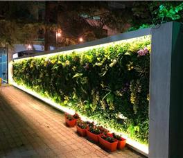 Qetesia - Te Indriti