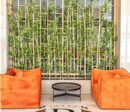 Bonita Luxury Resort A (Guarantee)