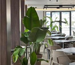 Joelle Premium Hotel