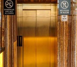 Amelia Mare - Guarantee 2025