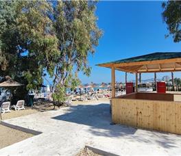 Amelia Mare - Guarantee 2025