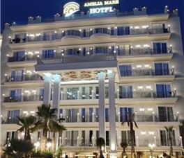 Amelia Mare - Guarantee 2025