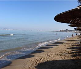 Amelia Mare - Guarantee 2025