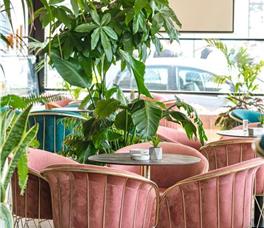 Bonita Luxury Resort B