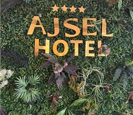 Ajsel