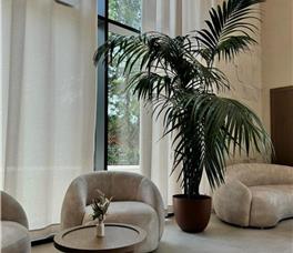 Ciao Borshi Boutique Hotel