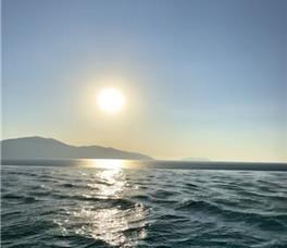 Coral Boutique Hotel