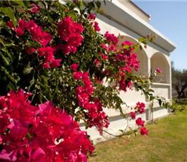 Niriides Hotel Rhodes