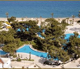 Diamond Club (ex. Royal Palm) 