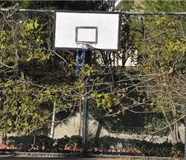 Diamond Club (ex. Royal Palm) 