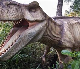 Maxx Royal Belek Golf Resort