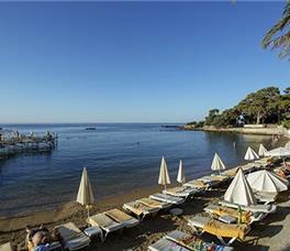 Alara Park Residence