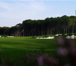 Regnum Carya Golf & Spa Resort