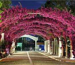 Kadikale Resort and Spa 