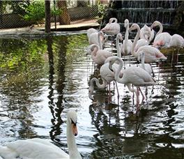 Gloria Serenity Resort