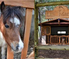 Gloria Serenity Resort