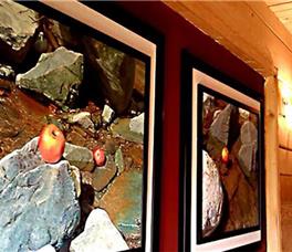 Art Apartments Minic 