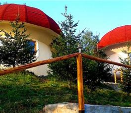 Art Apartments Minic 