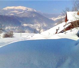 Art Apartments Minic 