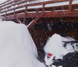 Art Apartments Minic 