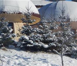 Art Apartments Minic 