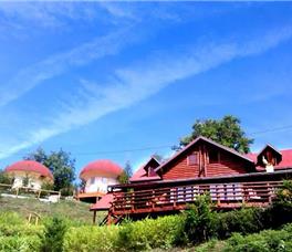 Art Apartments Minic 