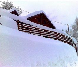 Art Apartments Minic 