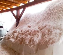 Art Apartments Minic 