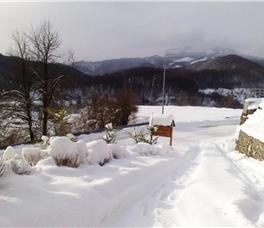 Art Apartments Minic 