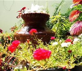 Narnia Maldives Resort 