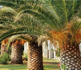 Assa Maris Bomo Club 