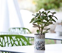 Anemoessa Boutique Hotel