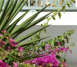 Pelican Bay Art Hotel