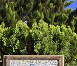 Pelican Bay Art Hotel