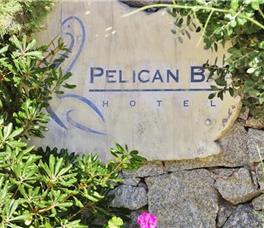 Pelican Bay Art Hotel