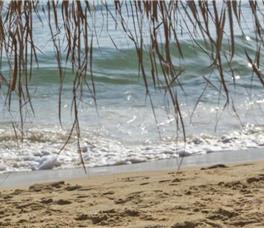 Dionysos Boutique Mykonos Hotel