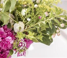 Dionysos Boutique Mykonos Hotel