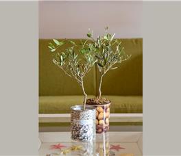 Arte Mare Elia Suites